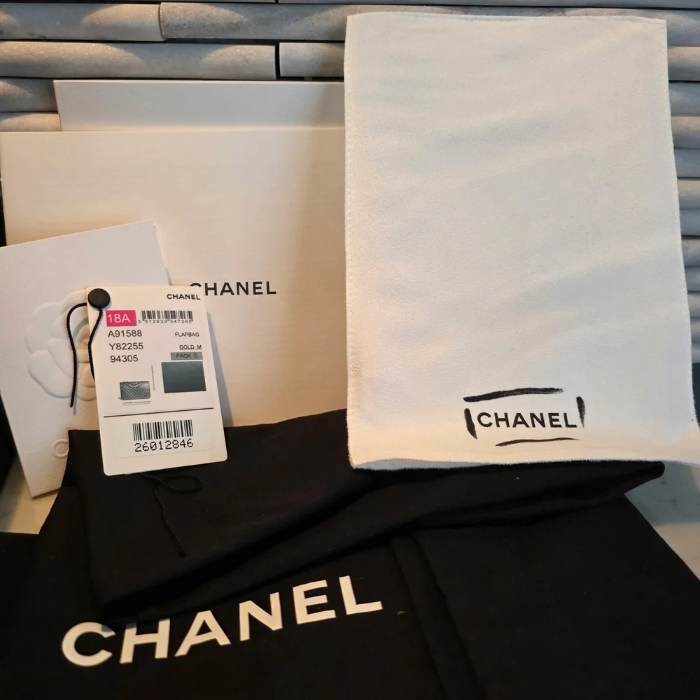 Chanel Chevron Quilted Statement Bag - Picture 3 of 16